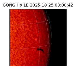 gong - 2025-10-25T03:00:42