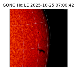 gong - 2025-10-25T07:00:42