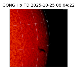 gong - 2025-10-25T08:04:22