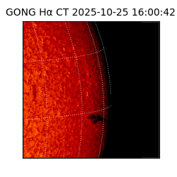 gong - 2025-10-25T16:00:42