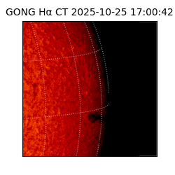 gong - 2025-10-25T17:00:42