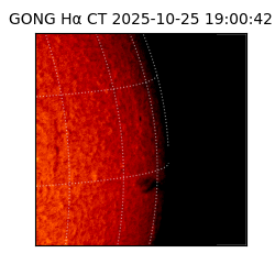 gong - 2025-10-25T19:00:42