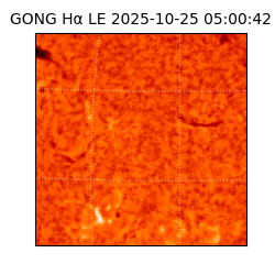 gong - 2025-10-25T05:00:42