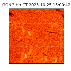 gong - 2025-10-25T15:00:42
