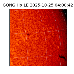 gong - 2025-10-25T04:00:42