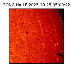 gong - 2025-10-25T05:00:42