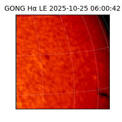 gong - 2025-10-25T06:00:42