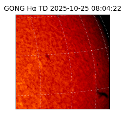 gong - 2025-10-25T08:04:22