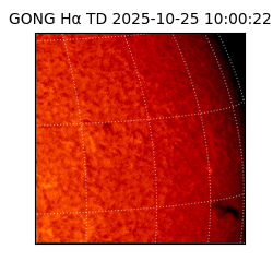 gong - 2025-10-25T10:00:22