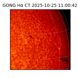 gong - 2025-10-25T11:00:42