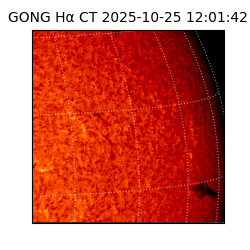 gong - 2025-10-25T12:01:42