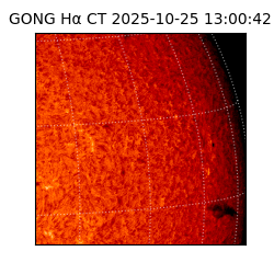 gong - 2025-10-25T13:00:42