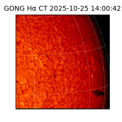 gong - 2025-10-25T14:00:42