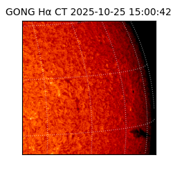 gong - 2025-10-25T15:00:42
