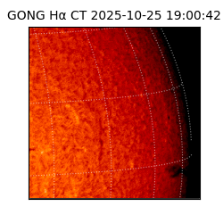 gong - 2025-10-25T19:00:42