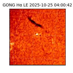 gong - 2025-10-25T04:00:42