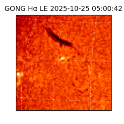 gong - 2025-10-25T05:00:42