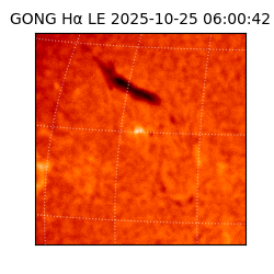 gong - 2025-10-25T06:00:42