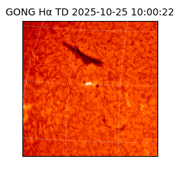 gong - 2025-10-25T10:00:22