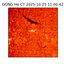 gong - 2025-10-25T11:00:42