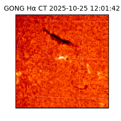 gong - 2025-10-25T12:01:42