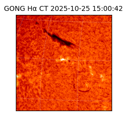 gong - 2025-10-25T15:00:42