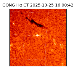 gong - 2025-10-25T16:00:42