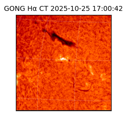 gong - 2025-10-25T17:00:42