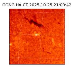 gong - 2025-10-25T21:00:42