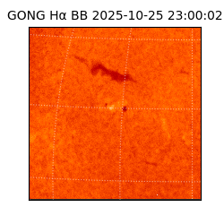 gong - 2025-10-25T23:00:02