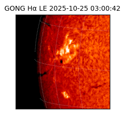 gong - 2025-10-25T03:00:42