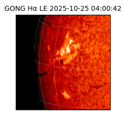 gong - 2025-10-25T04:00:42