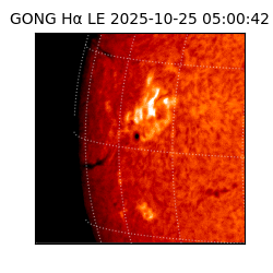 gong - 2025-10-25T05:00:42