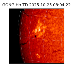 gong - 2025-10-25T08:04:22