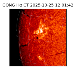 gong - 2025-10-25T12:01:42