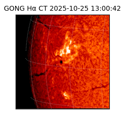 gong - 2025-10-25T13:00:42