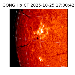 gong - 2025-10-25T17:00:42