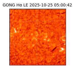 gong - 2025-10-25T05:00:42