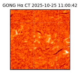 gong - 2025-10-25T11:00:42