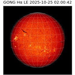 gong - 2025-10-25T02:00:42