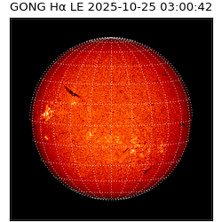 gong - 2025-10-25T03:00:42