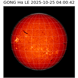 gong - 2025-10-25T04:00:42