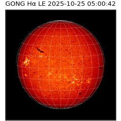 gong - 2025-10-25T05:00:42