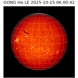 gong - 2025-10-25T06:00:42