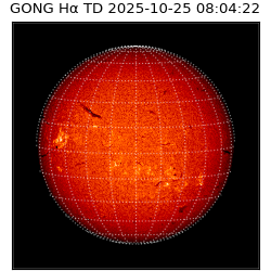 gong - 2025-10-25T08:04:22