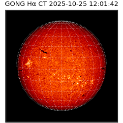 gong - 2025-10-25T12:01:42