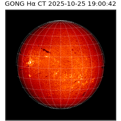 gong - 2025-10-25T19:00:42