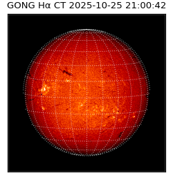 gong - 2025-10-25T21:00:42