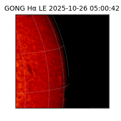 gong - 2025-10-26T05:00:42