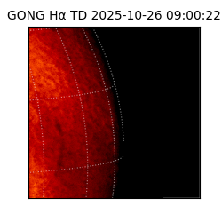 gong - 2025-10-26T09:00:22